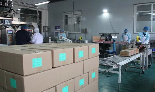 遵化这家企业产品卖得超火爆 内有福利哦