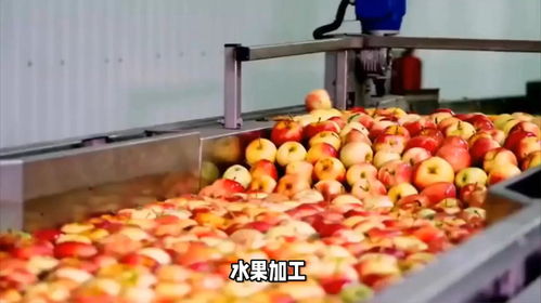水果加工废水处理方法 水果罐头食品厂废水处理案例